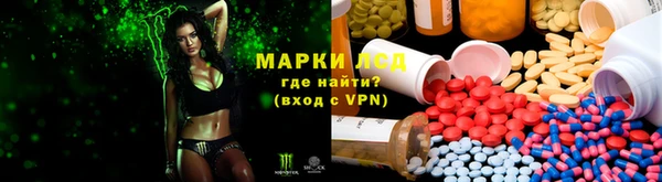 крисы Богданович